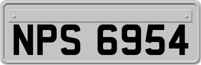 NPS6954