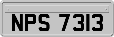 NPS7313
