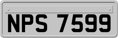 NPS7599