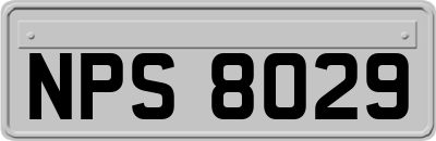 NPS8029