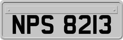 NPS8213