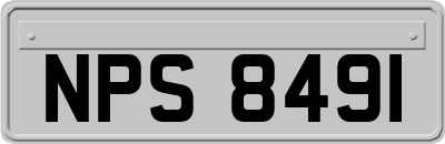 NPS8491