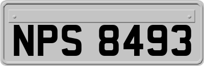 NPS8493