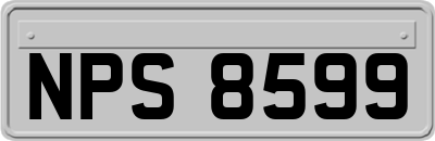 NPS8599