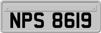 NPS8619