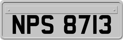 NPS8713