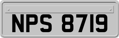 NPS8719
