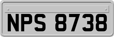 NPS8738