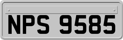 NPS9585