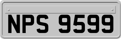 NPS9599