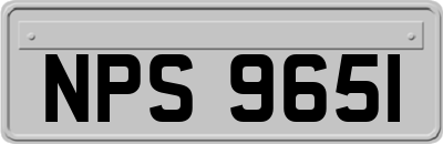 NPS9651