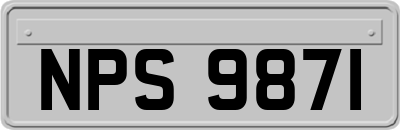 NPS9871
