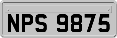 NPS9875