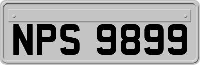 NPS9899