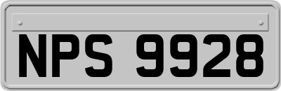 NPS9928