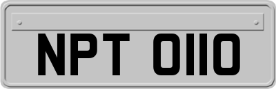 NPT0110