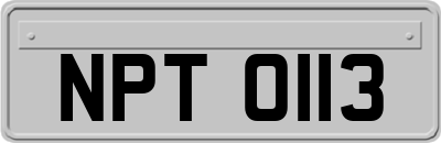 NPT0113