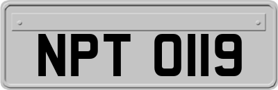 NPT0119