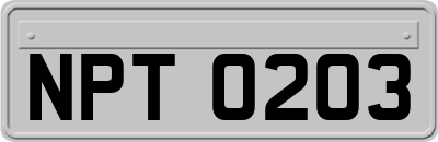 NPT0203