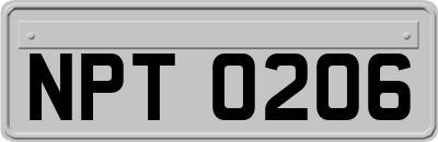 NPT0206