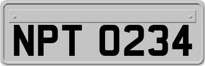 NPT0234