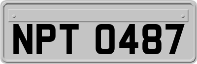 NPT0487