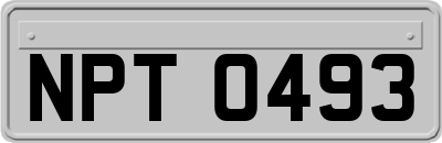 NPT0493