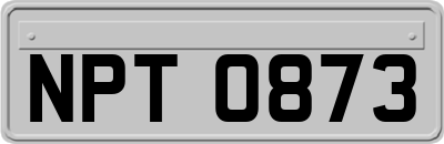 NPT0873
