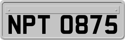 NPT0875