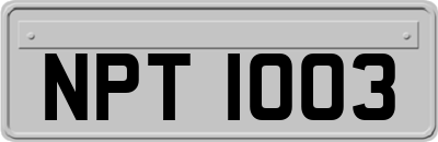 NPT1003