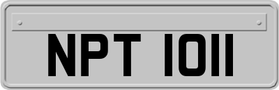 NPT1011