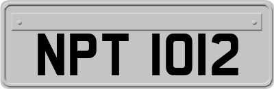 NPT1012