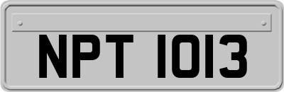 NPT1013