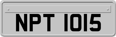 NPT1015