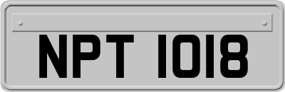NPT1018