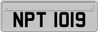NPT1019