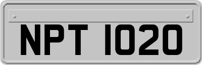NPT1020