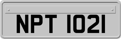 NPT1021