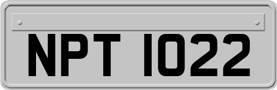NPT1022