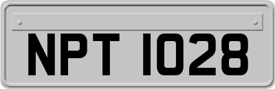 NPT1028