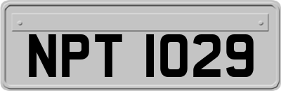 NPT1029