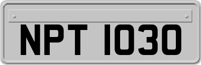 NPT1030