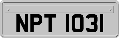 NPT1031