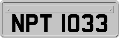 NPT1033