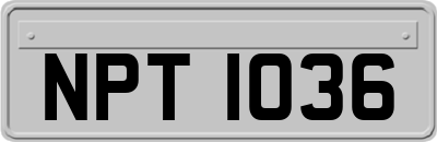 NPT1036