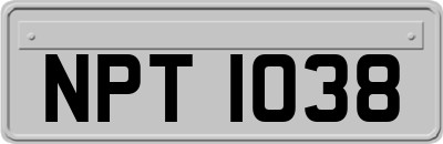 NPT1038
