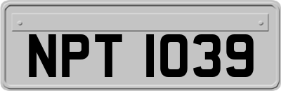 NPT1039