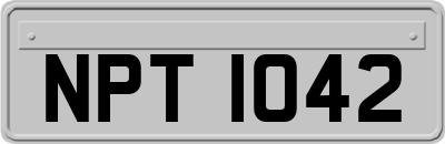 NPT1042