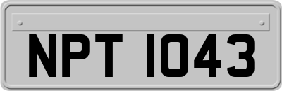 NPT1043