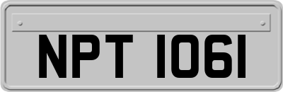 NPT1061